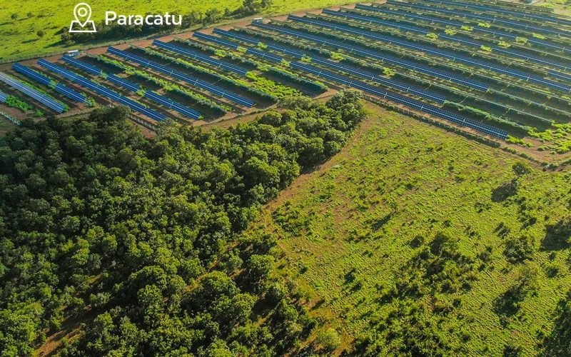 PARACATU (2)
